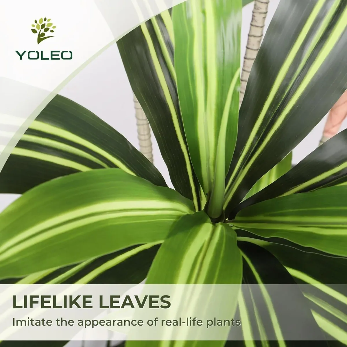 6FT Artificial Dracaena Tree with White Tall - Image 3