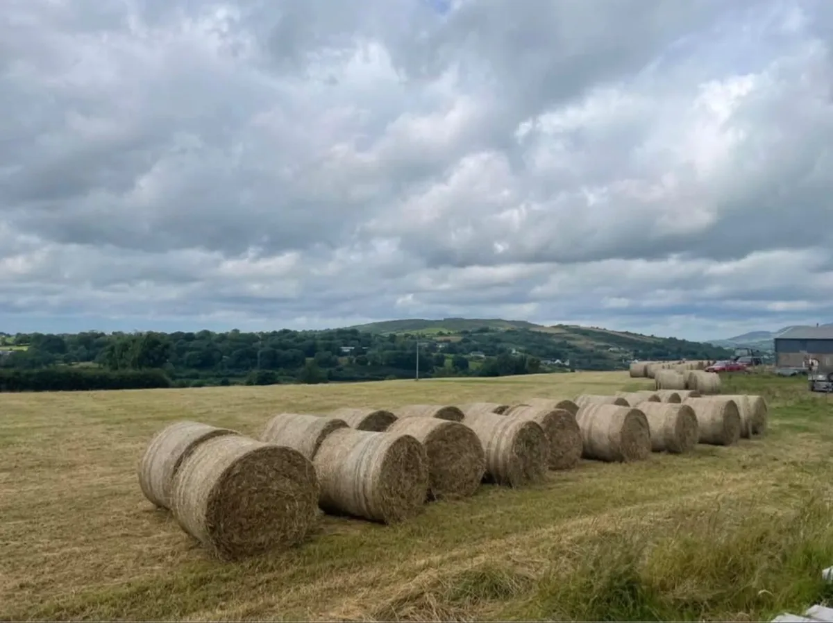 Hay bales