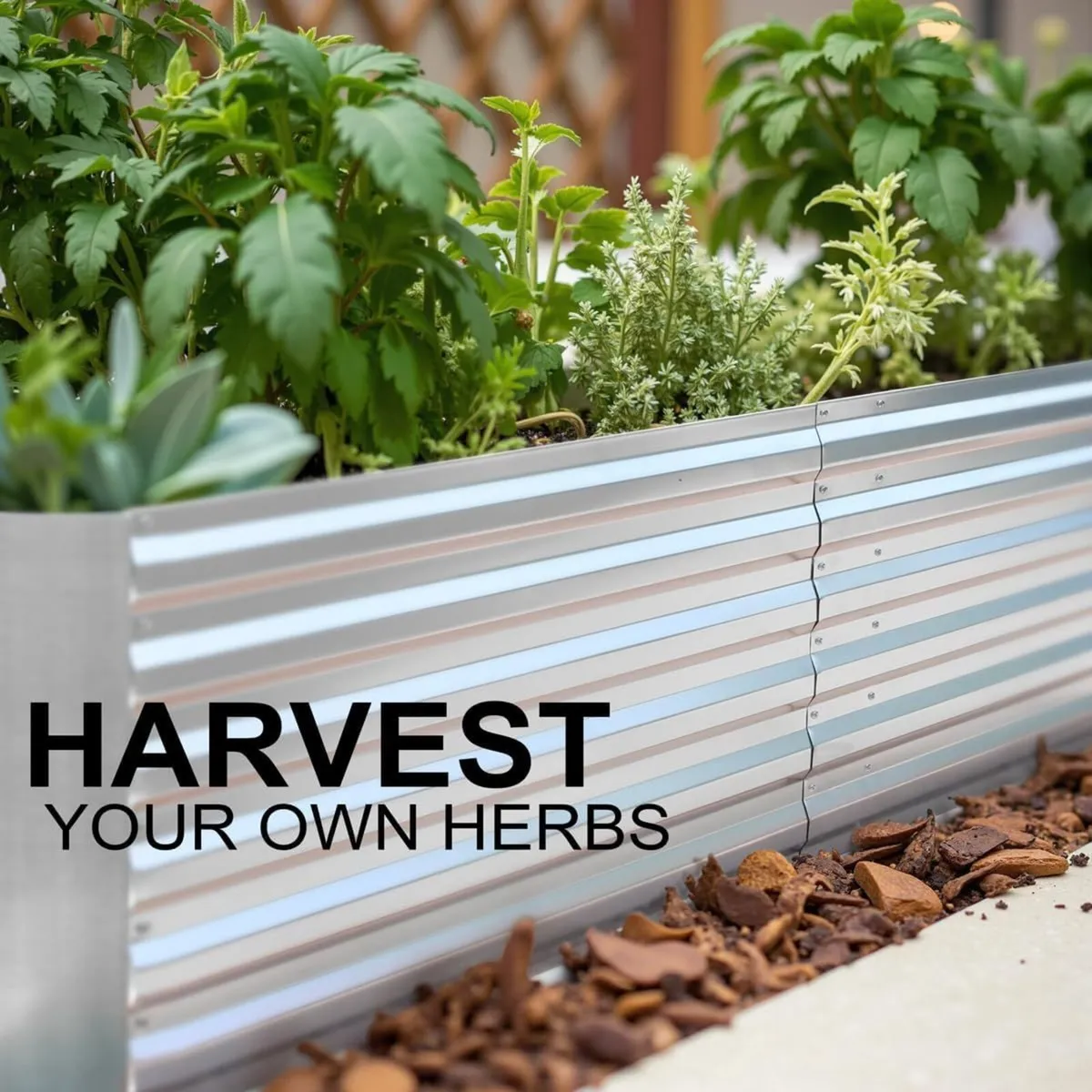 Raised Garden Beds Outdoor 160x60x56cm Steel - Image 3