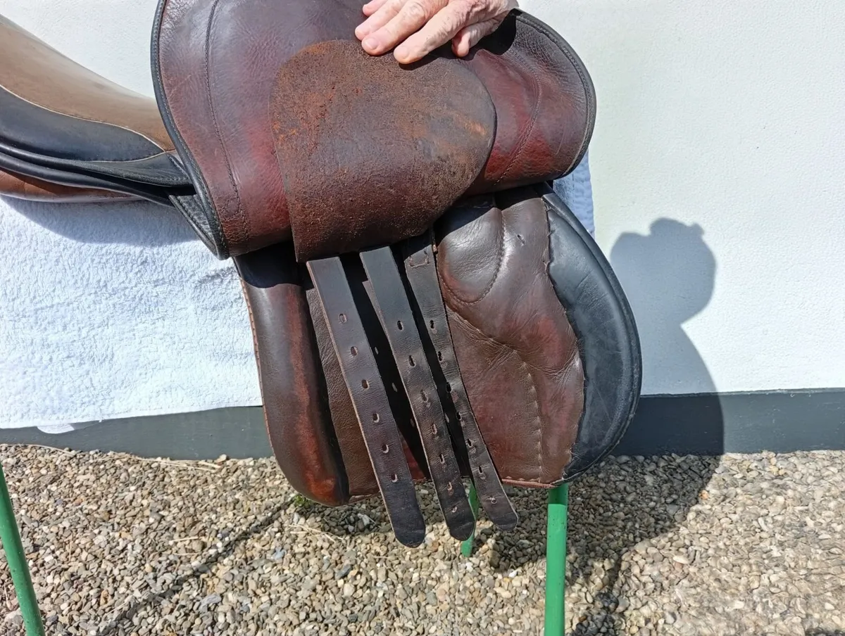 Saddle - Image 2
