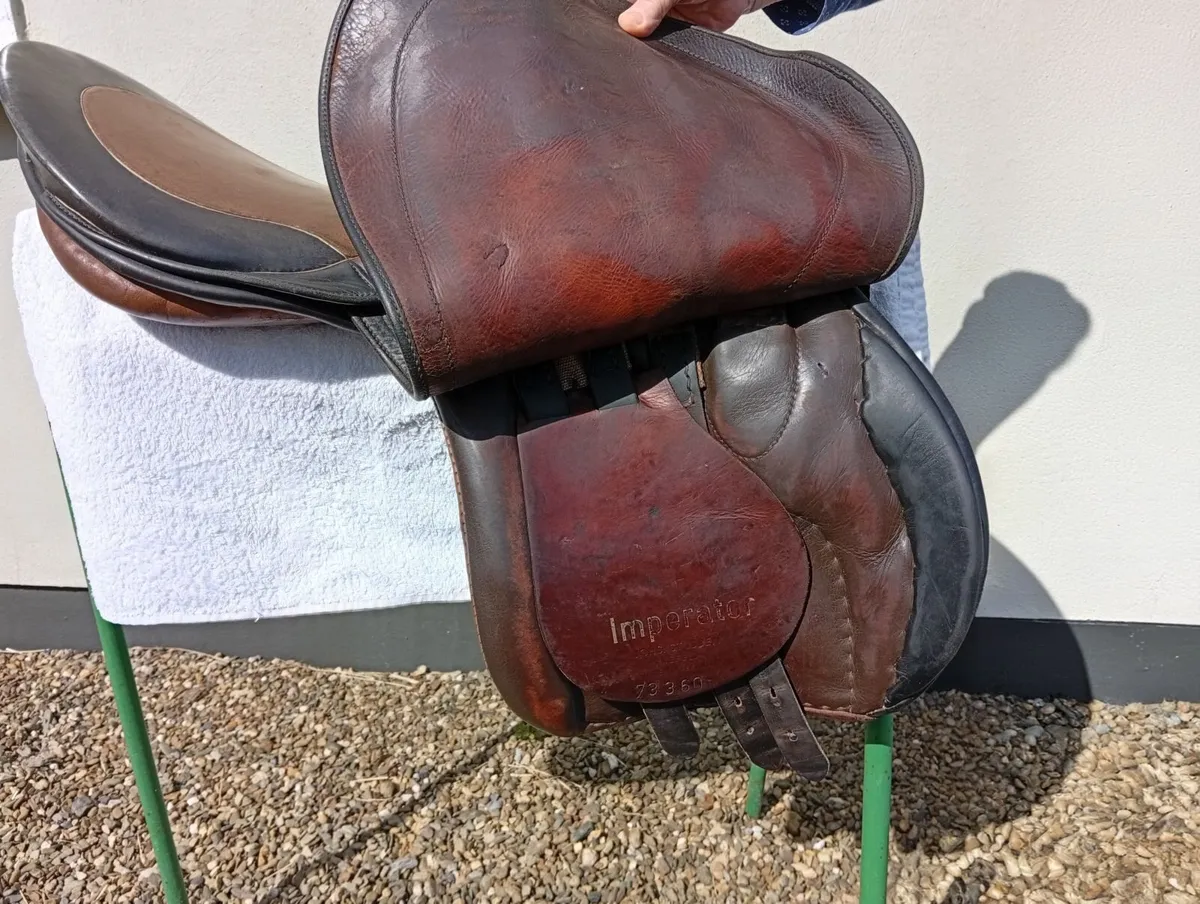 Saddle - Image 3