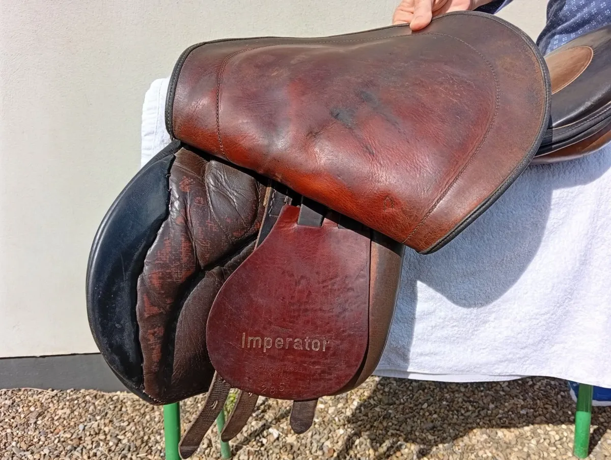Saddle - Image 4