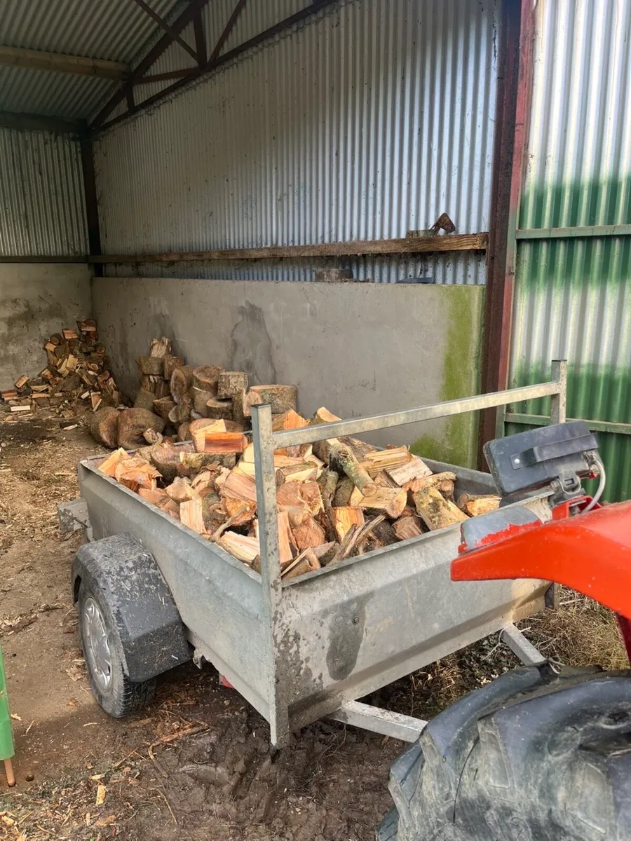 Firewood - Image 1