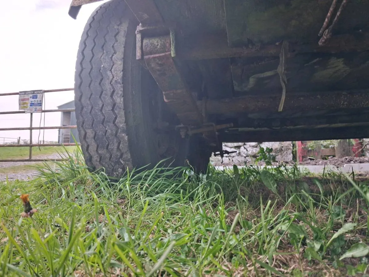 Cattle trailer - Image 4