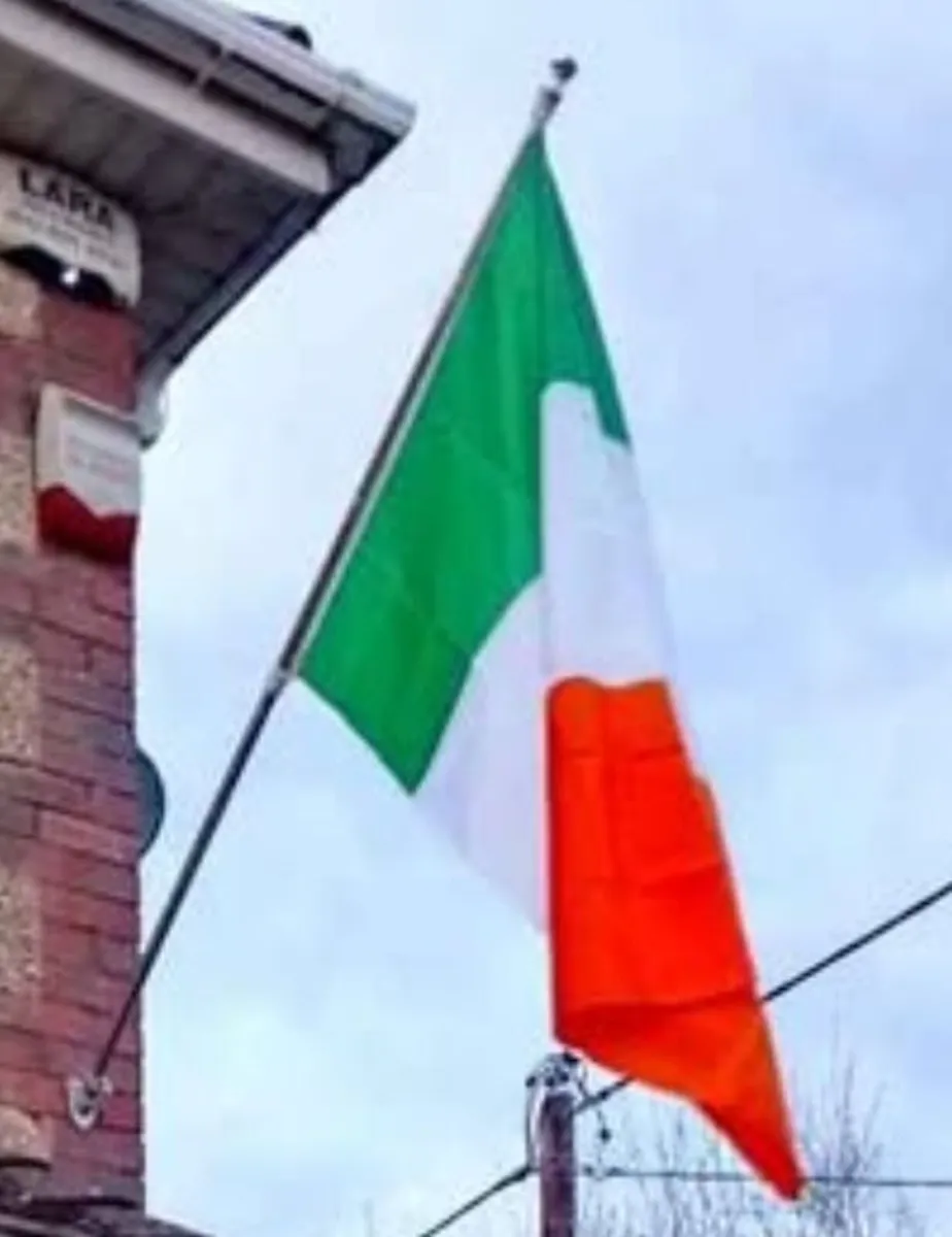 Flag pole and Tricolour flag - Image 2