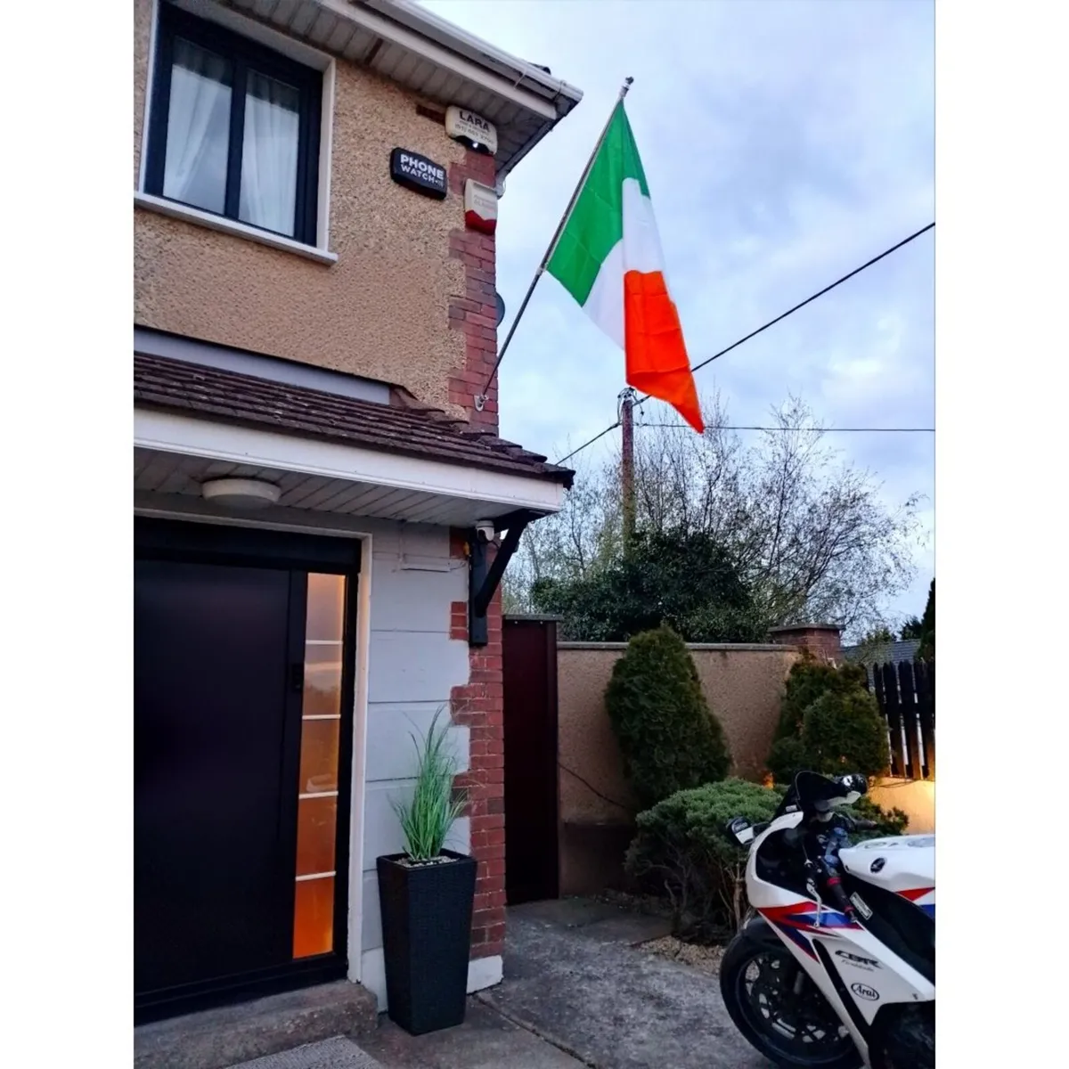 Flag pole and Tricolour flag - Image 1