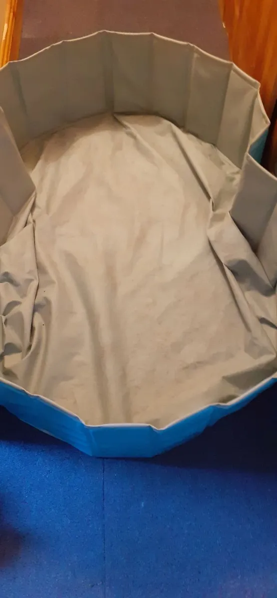 Dog Swimming Pool –Zoofari Foldable - Image 2