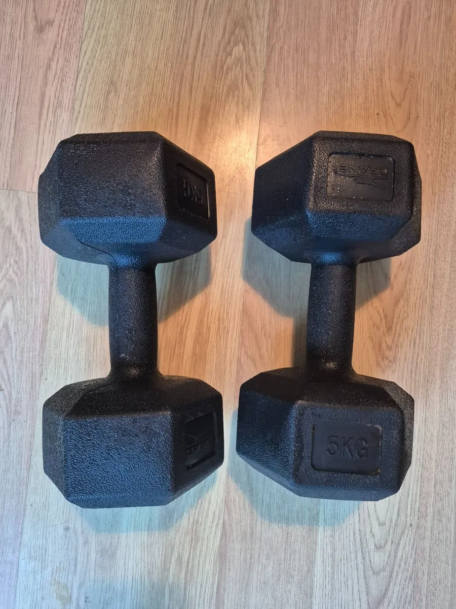 Dumbbells 2×5kg - Image 1