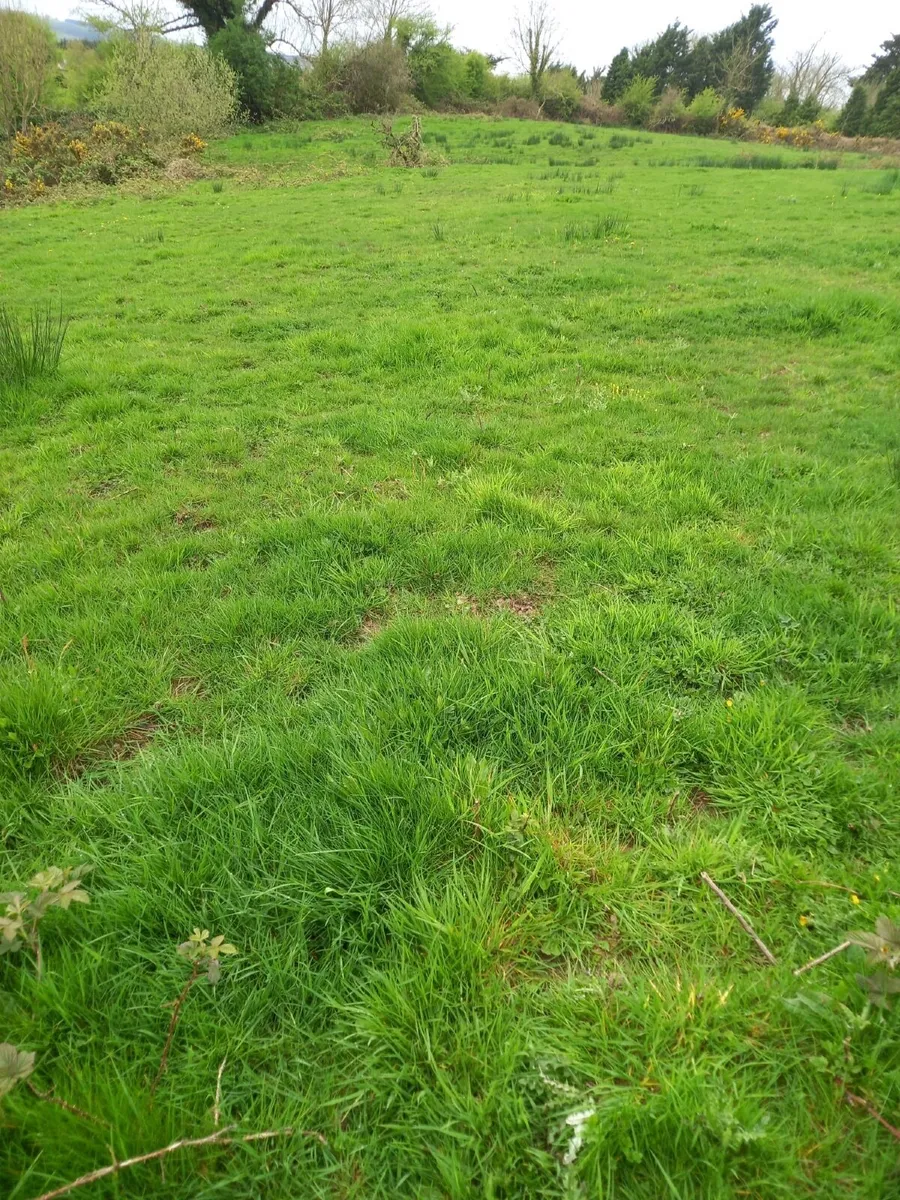 Grazing To Let - Image 3