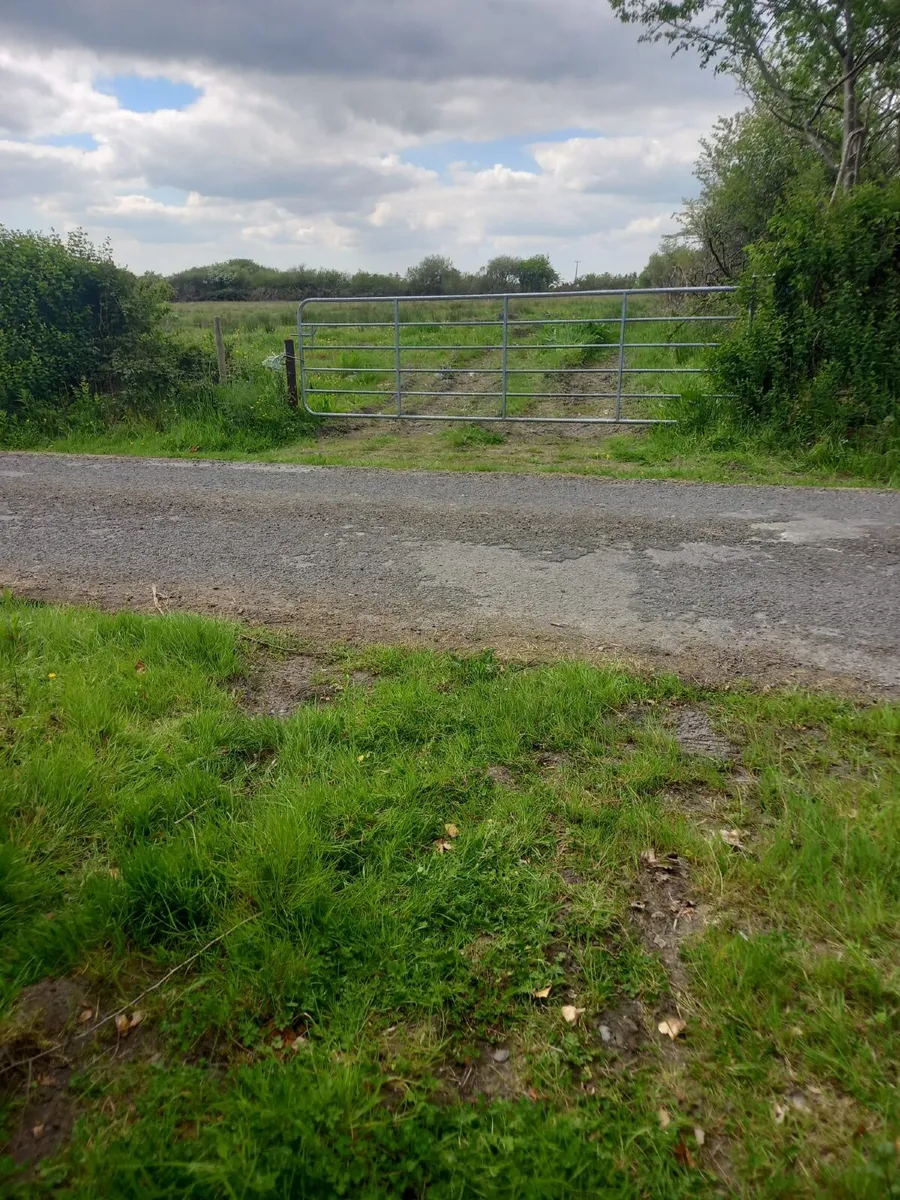 Grazing To Let - Image 4