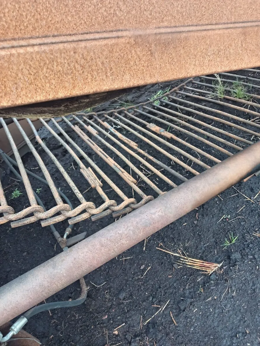 Beet links - Image 3