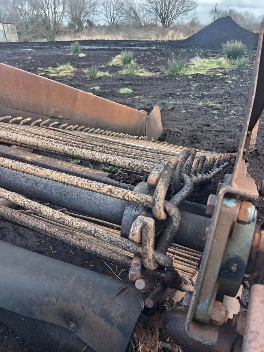 Beet links - Image 1