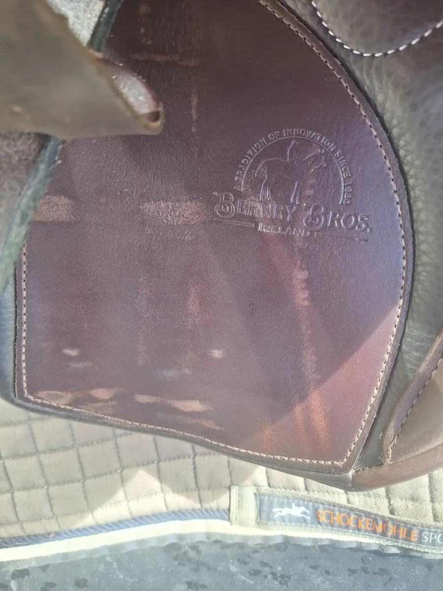 Saddle - Image 2