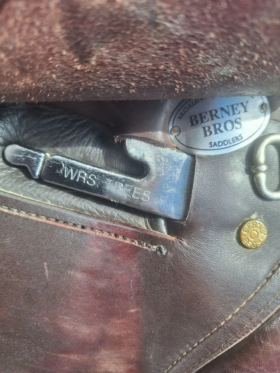 Saddle - Image 3