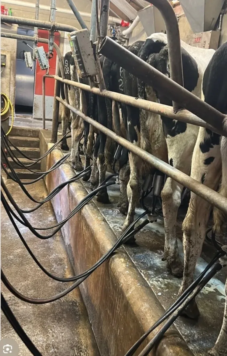 Two Relief milkers available