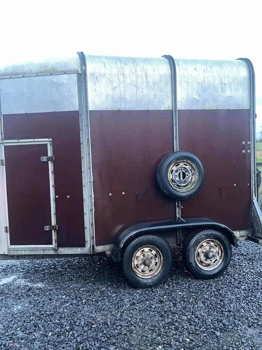Horse box - Image 3