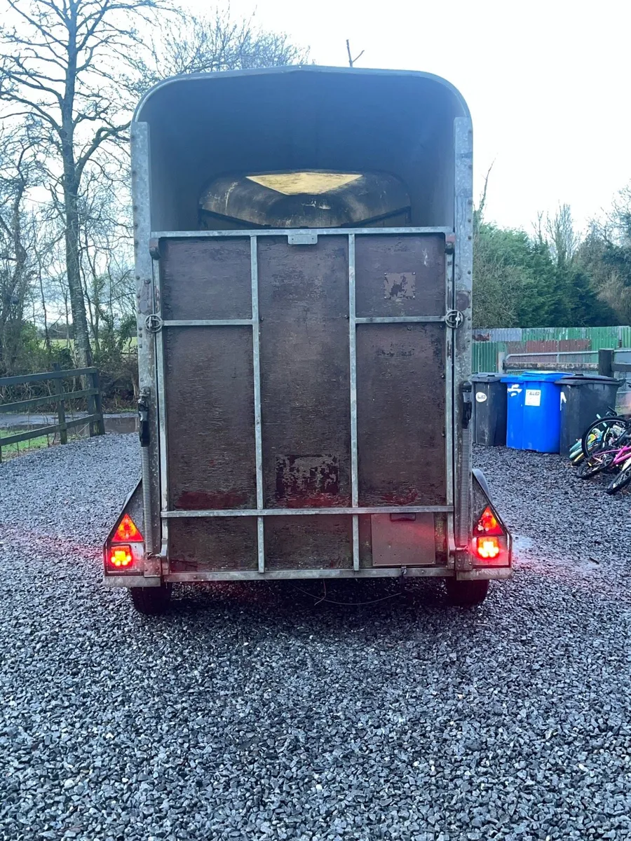 Horse box - Image 4
