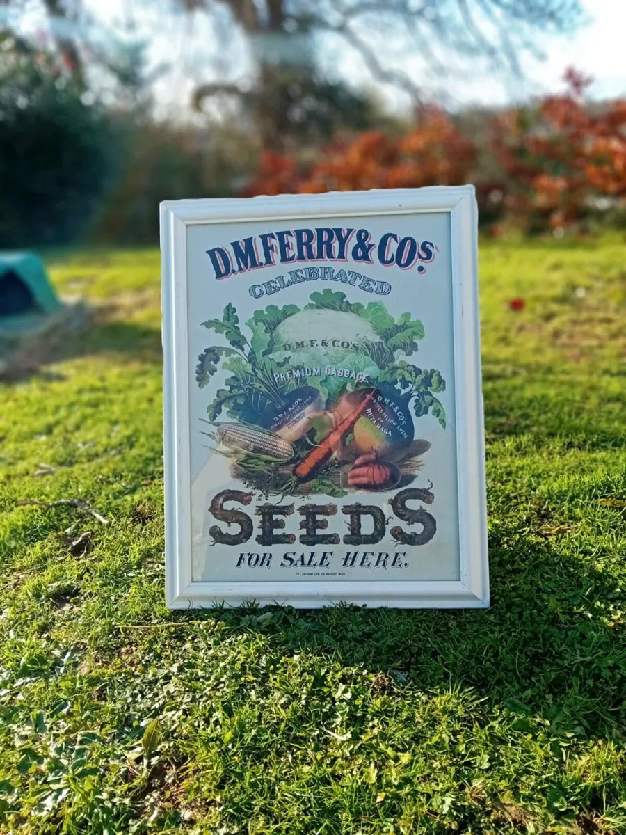 D & M Ferry Vintage Sign - Image 3