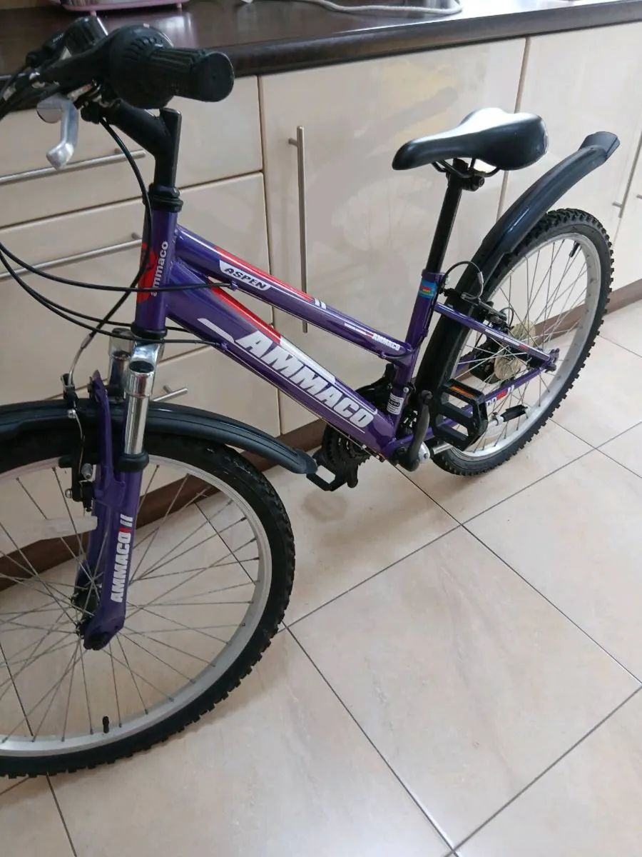 GIRLS BIKE 24 INCH WHEELS AS NEW - Image 1