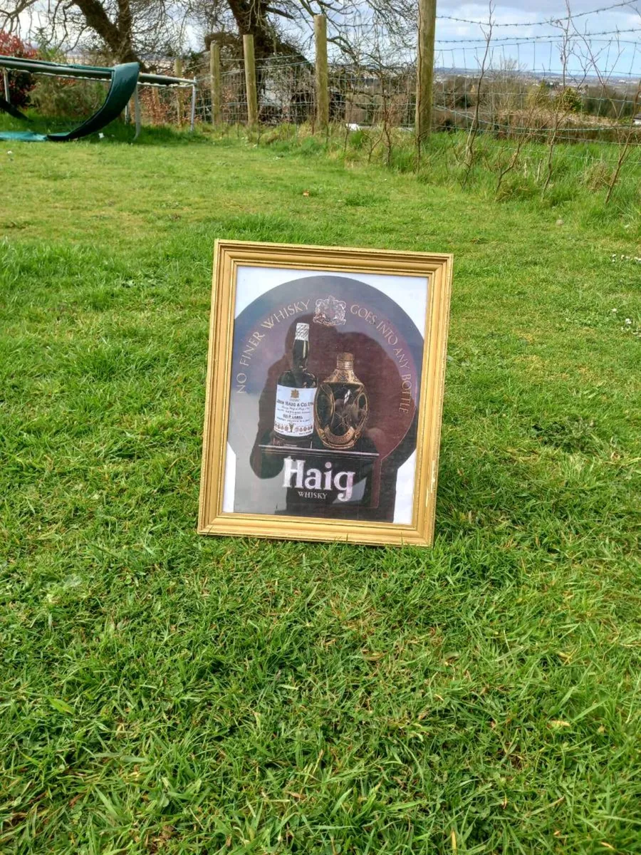 Haig Whisky Advert - Image 2