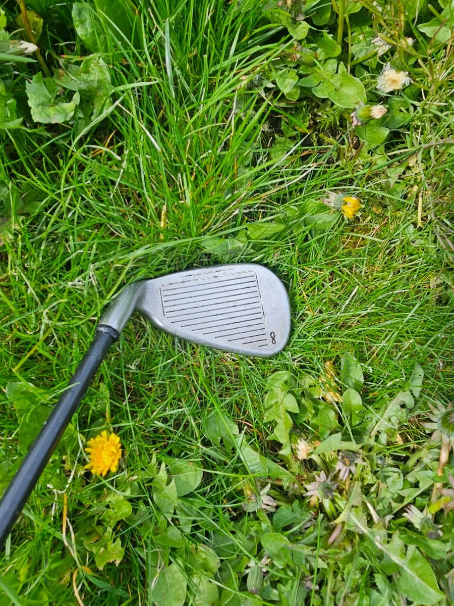 Callaway Big Bertha X-12 8 Iron - Image 2