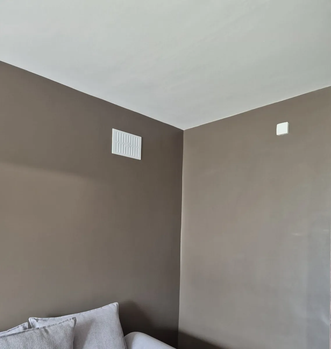 5l Benjamin Moore Northwood Brown Paint - Image 4