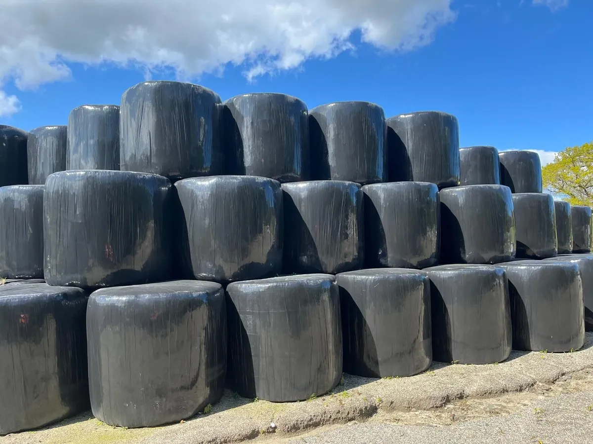 Round Bales - Image 4