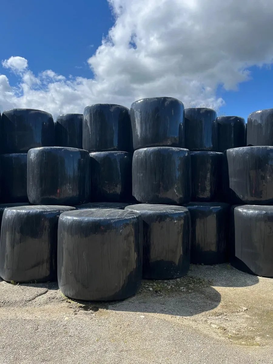 Round Bales - Image 1