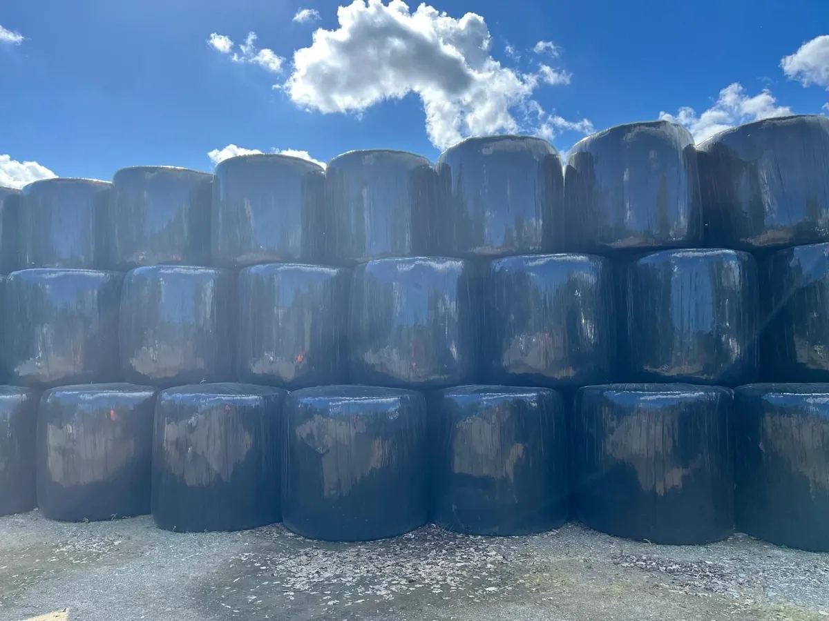 Round Bales - Image 2