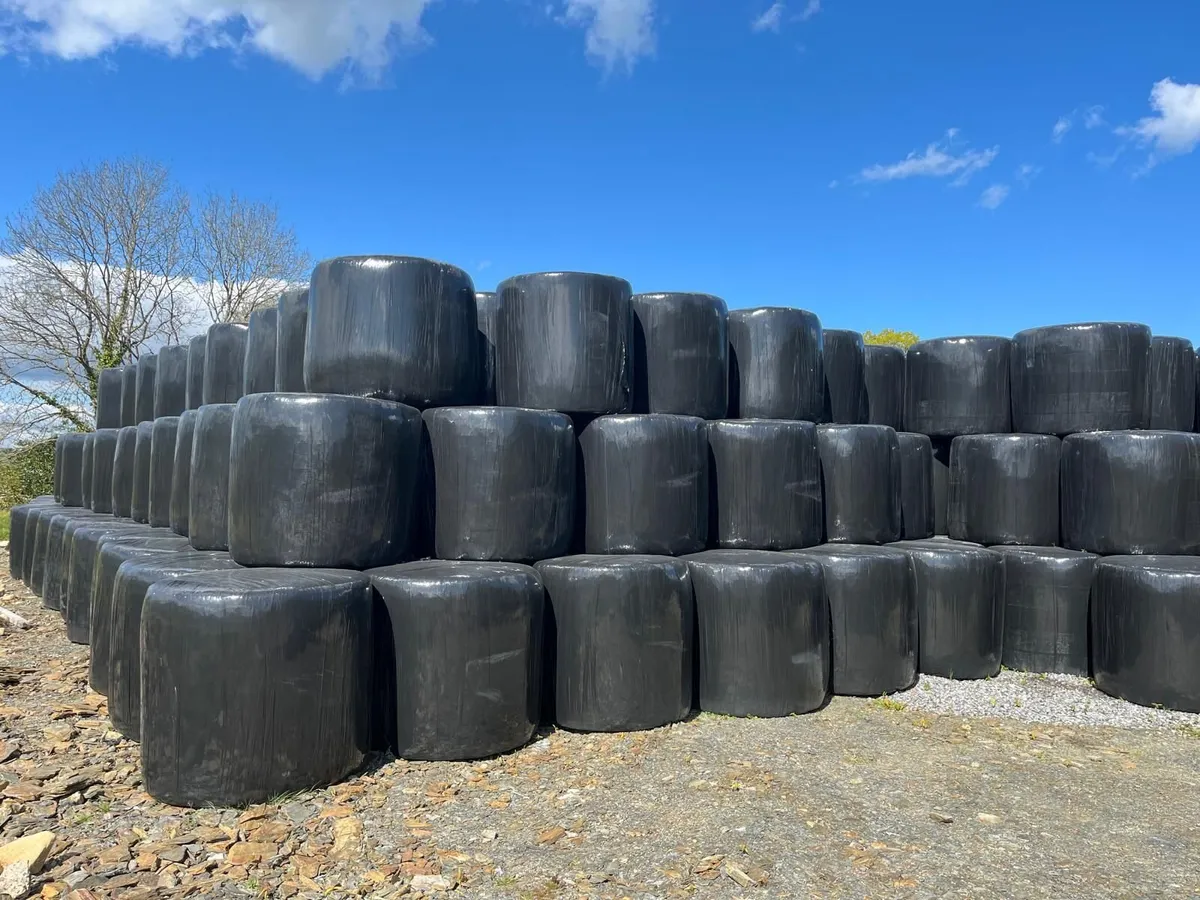 Round Bales - Image 3