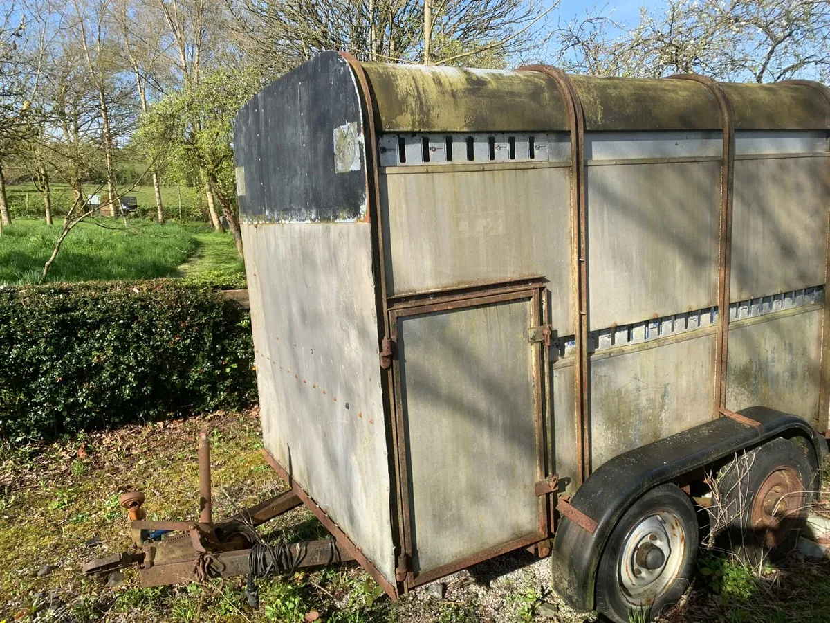 Ifor Williams Cattle trailer 8x5 - Image 3