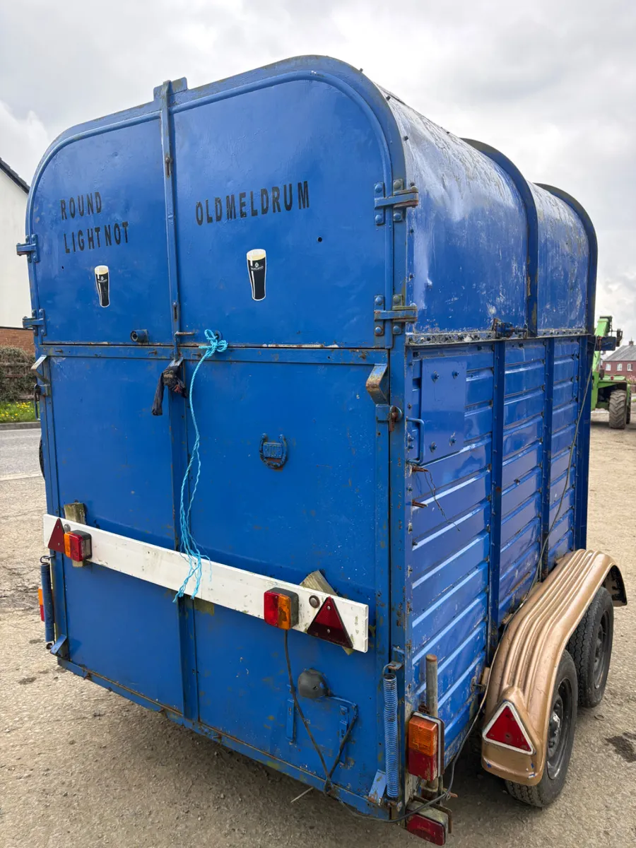 Rice horsebox - Image 3