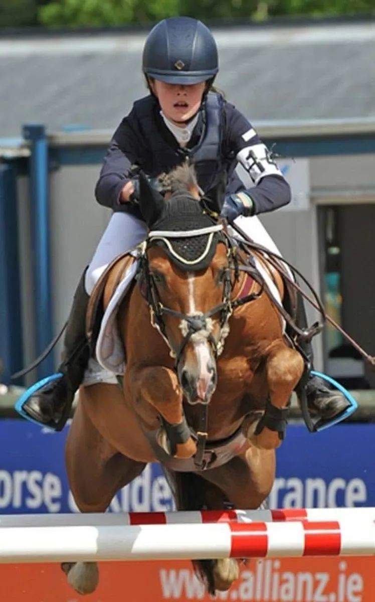 128cm performance Stallion at Stud - Image 2