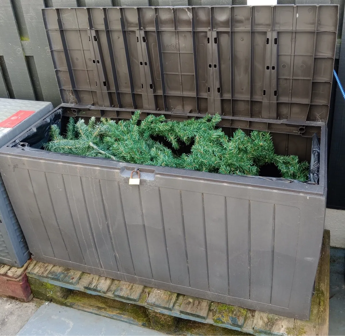 Household items - Image 3