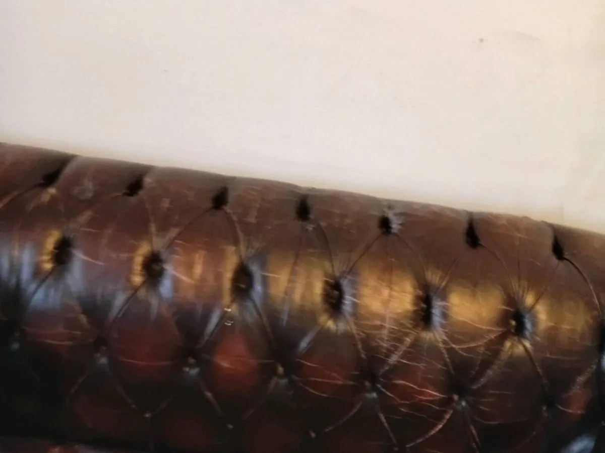 antique cigar brown chesterfield - Image 2