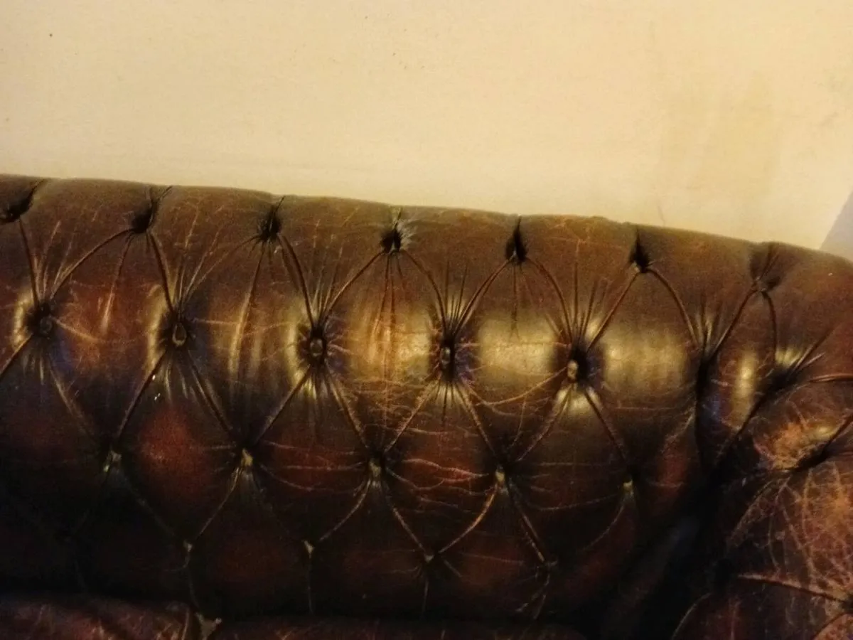 antique cigar brown chesterfield - Image 4