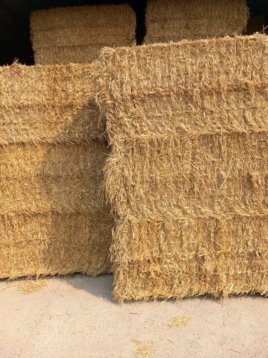 Wheat & oaten straw - Image 1