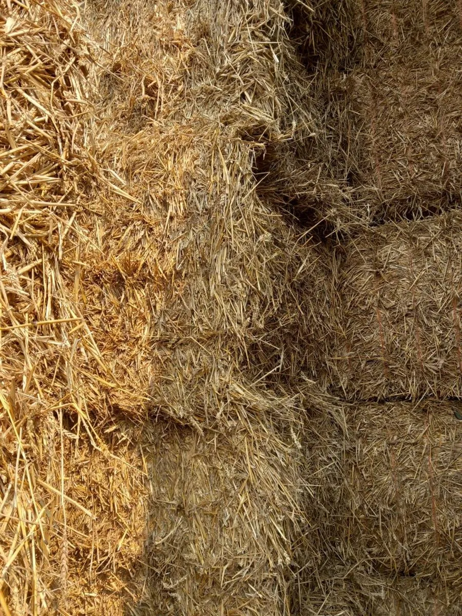 Wheat & oaten straw - Image 2
