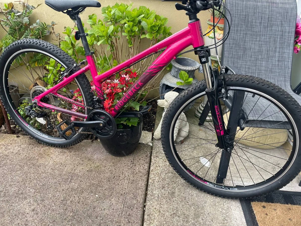 Ridgeback Mountain Bike - Image 1