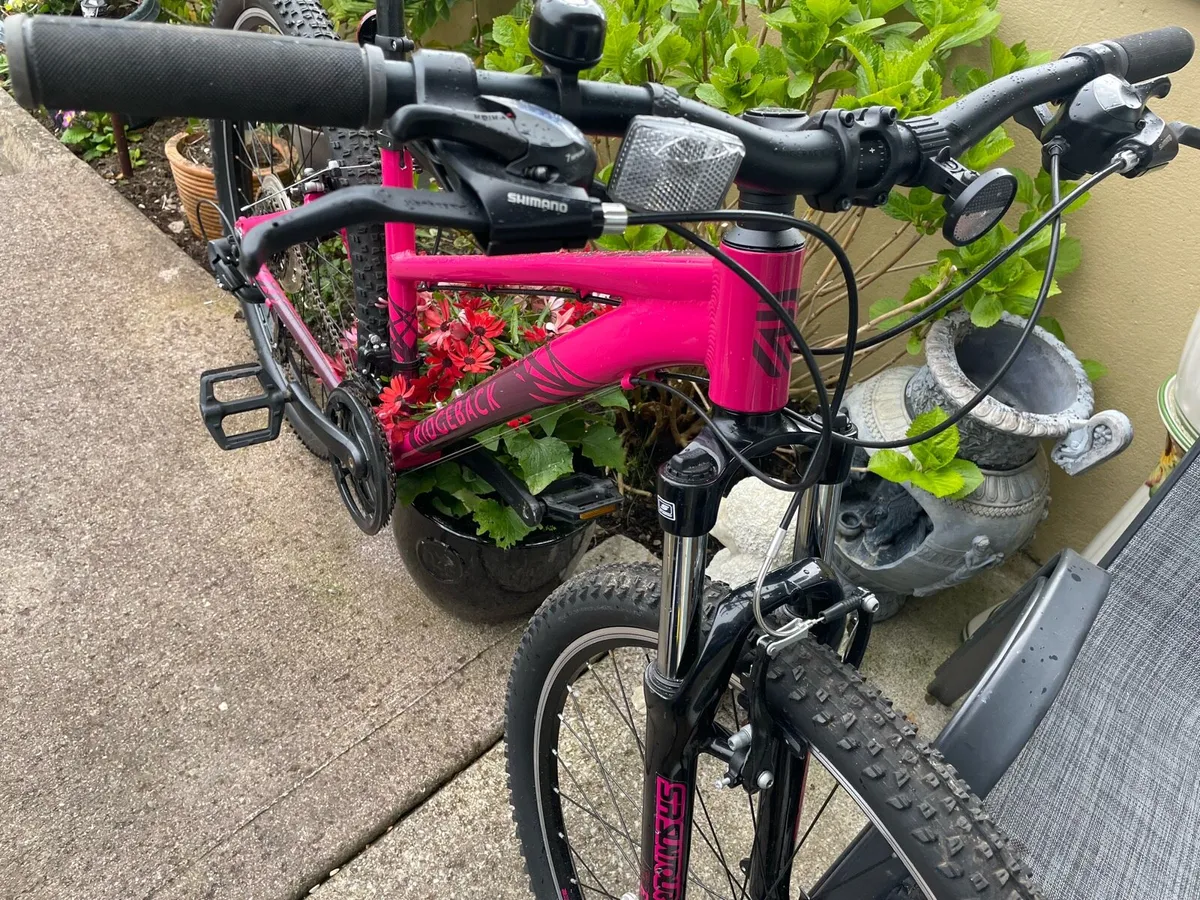 Ridgeback Mountain Bike - Image 3