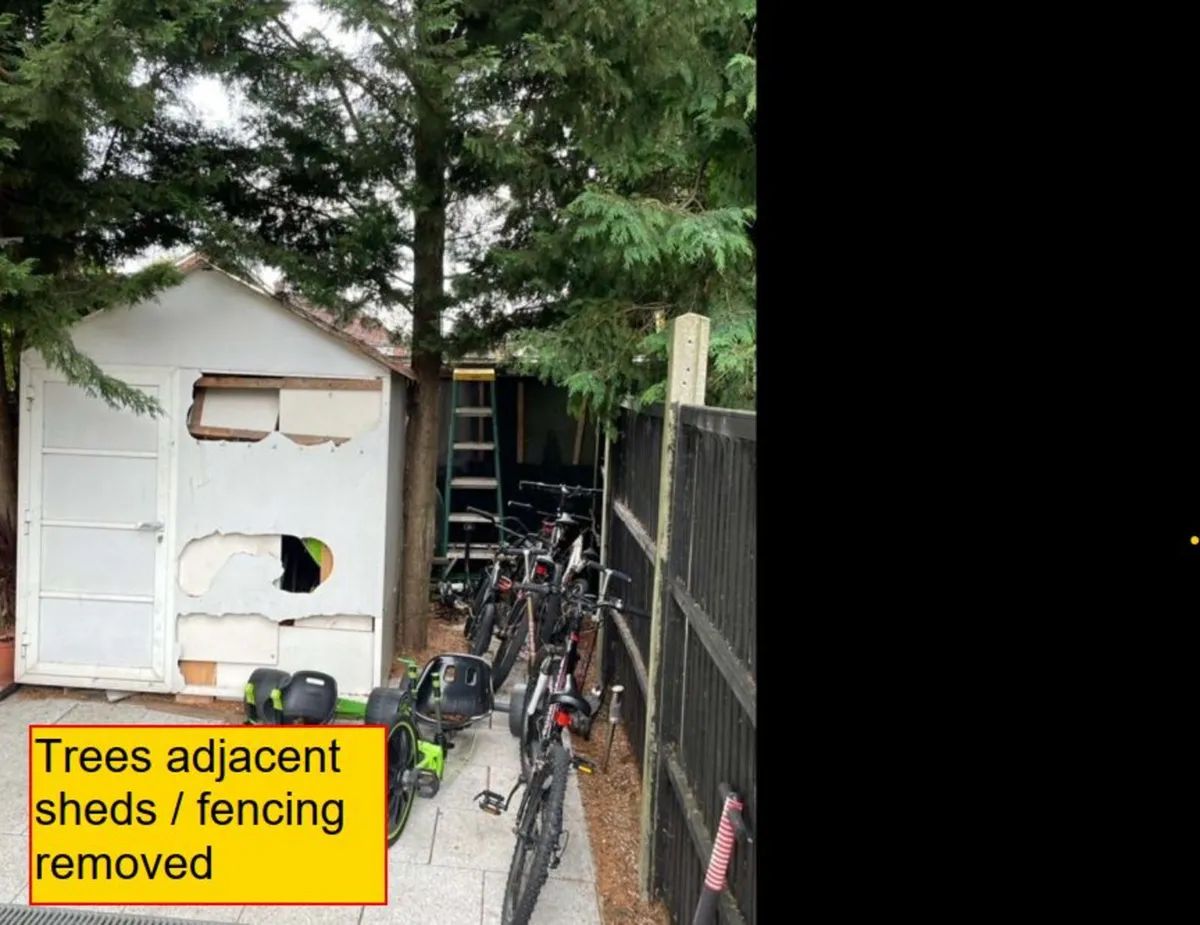 Garden tree cutting / removal. Dublin & Midlands - Image 3