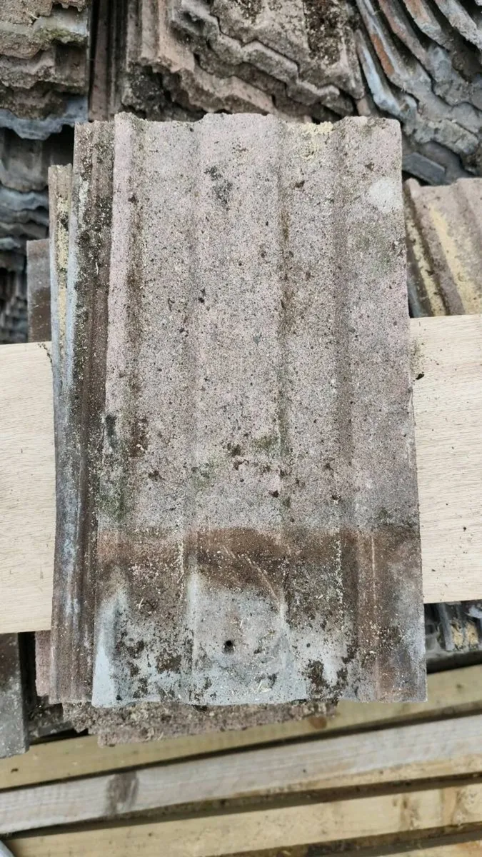 600 roof tiles - Image 3