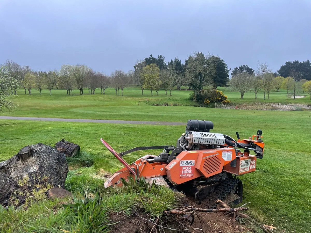 Stump grinding - Image 1