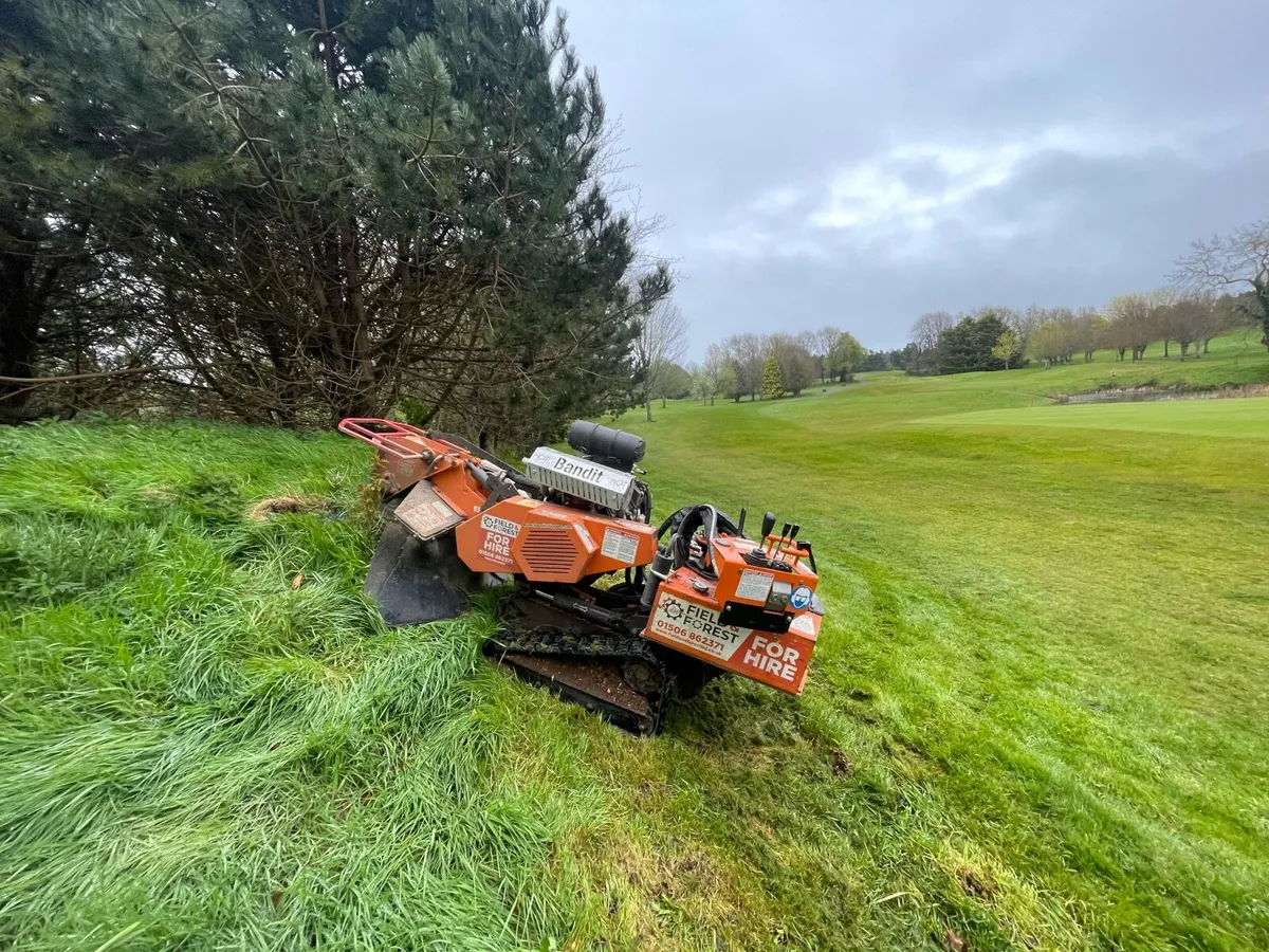 Stump grinding - Image 2