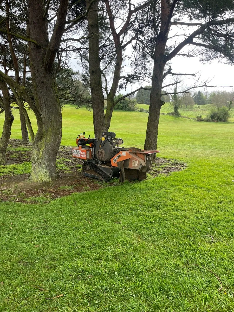 Stump grinding - Image 3