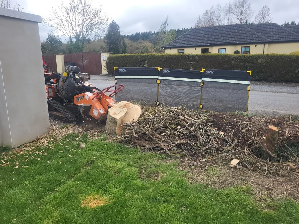 Stump grinding - Image 4
