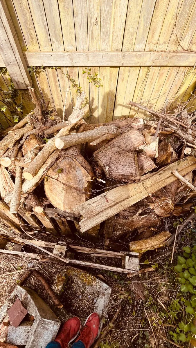Fire wood free for collection - Image 2