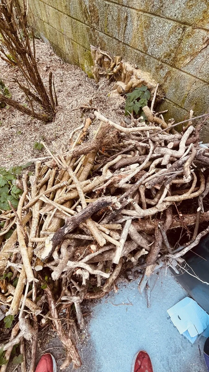 Fire wood free for collection - Image 4