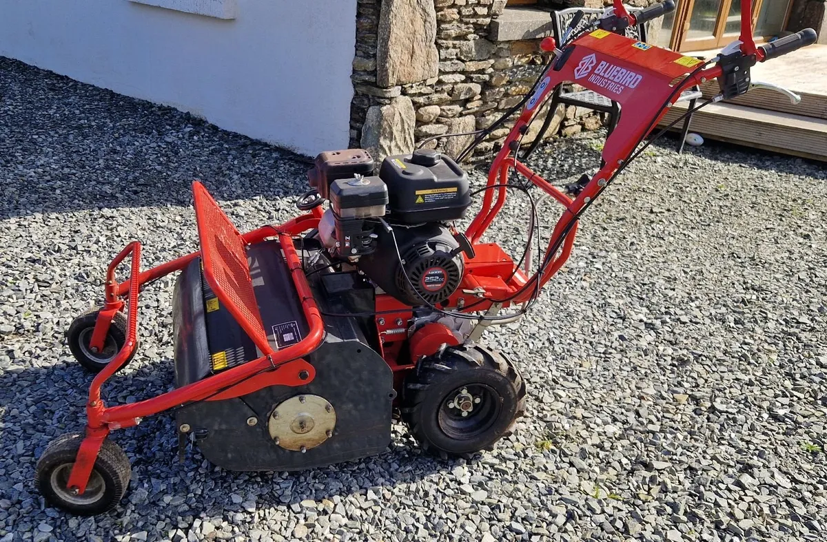 Flail Mower - Walk behind - Image 3