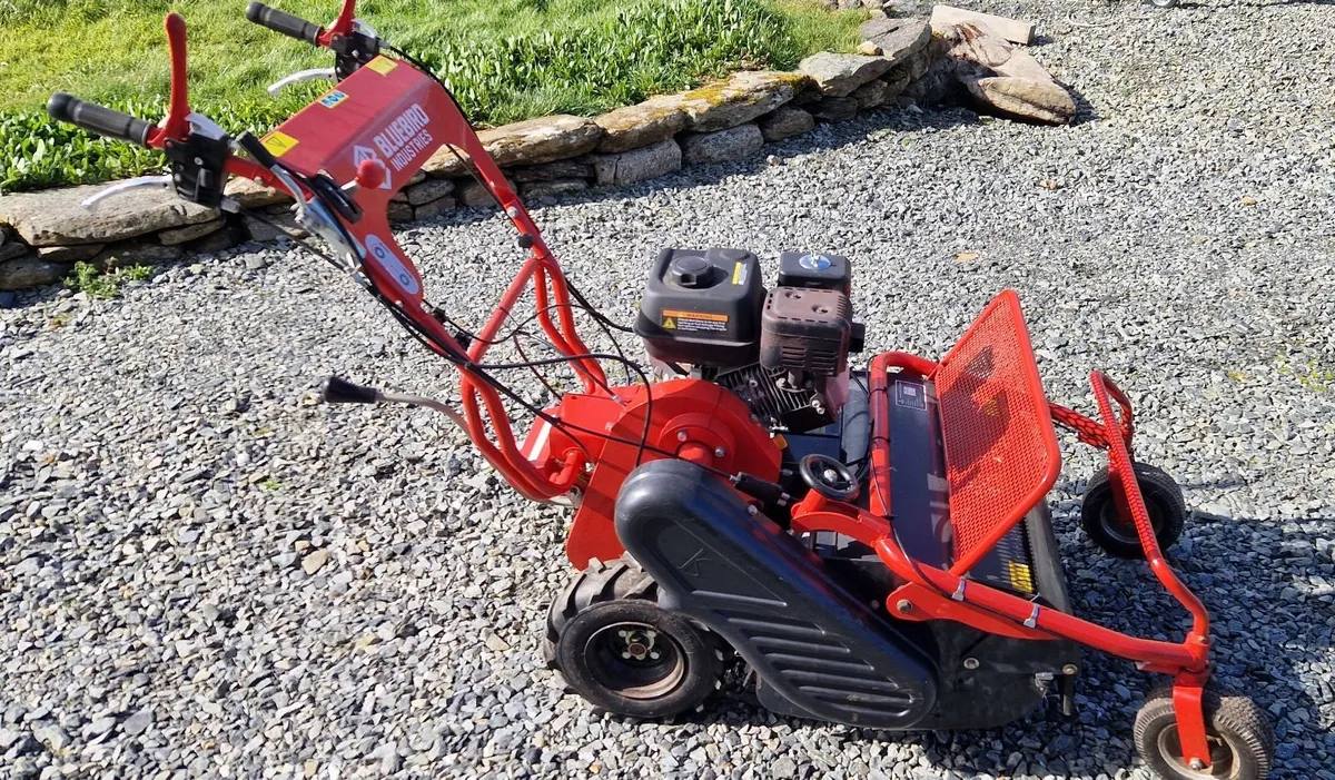 Flail Mower - Walk behind - Image 1